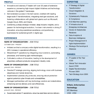 Classy Two-Column Resume For Experienced Professionals