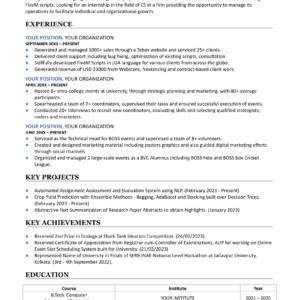 Resume For Tech Professionals